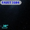 FAUST 3104