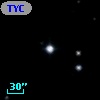 TYC 1445-1775-1