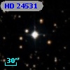 HD  24531