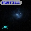 FAUST 3111