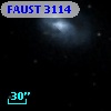 FAUST 3114