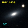 NGC  4436