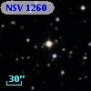 NSV  1260
