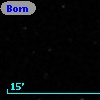 Borngen  91