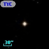 TYC  877-7-1