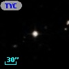 TYC  877-865-1