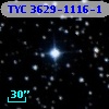 TYC 3629-1116-1