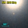 SN 1991bg