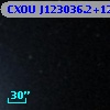 CXOU J123036.2+122532