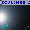 CXOU J123043.5+122346