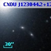 CXOU J123044.2+122209