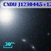 CXOU J123044.5+122254