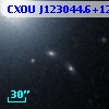 CXOU J123044.6+122201