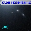 CXOU J123045.8+122134