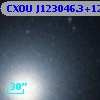 CXOU J123046.3+122441