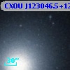 CXOU J123046.5+122450