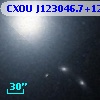 CXOU J123046.7+122237