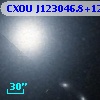 CXOU J123046.8+122305