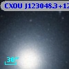 CXOU J123048.3+122438