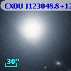 CXOU J123048.8+122313