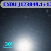 CXOU J123049.1+122445