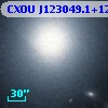 CXOU J123049.1+122308