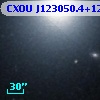 CXOU J123050.4+122212