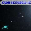 CXOU J123100.1+122232