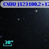 CXOU J123100.2+122138