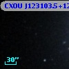 CXOU J123103.5+122305