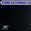 CXOU J123104.1+122335
