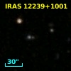IRAS 12239+1001
