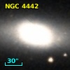 NGC  4442