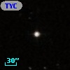 TYC  874-198-1