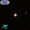 TYC  874-749-1