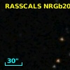 RASSCALS NRGb206