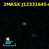 NVSS J123317+084243