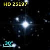 HD  25197