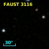 FAUST 3116