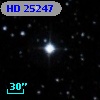 HD  25247