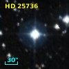 HD  25736