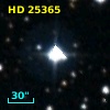 HD  25365