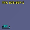 TYC  873-597-1