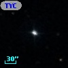 TYC  874-953-1