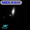 NOGG H  614