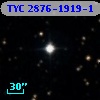 TYC 2876-1919-1
