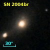 SN 2004br