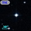 TYC  289-371-1