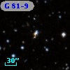 G  81-9