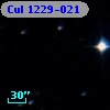 Cul 1229-021